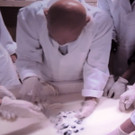 DSCN7850_JPG-1375974354