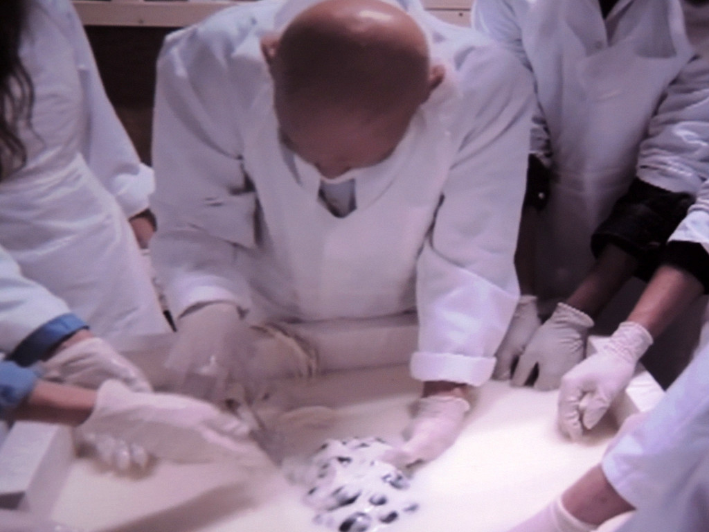 DSCN7850_JPG-1375974354