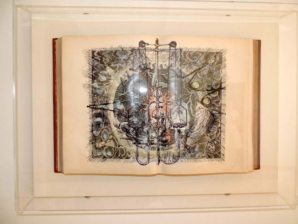 DSCN7832_JPG-1375974327