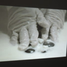 DSCN7849_JPG-1375974350