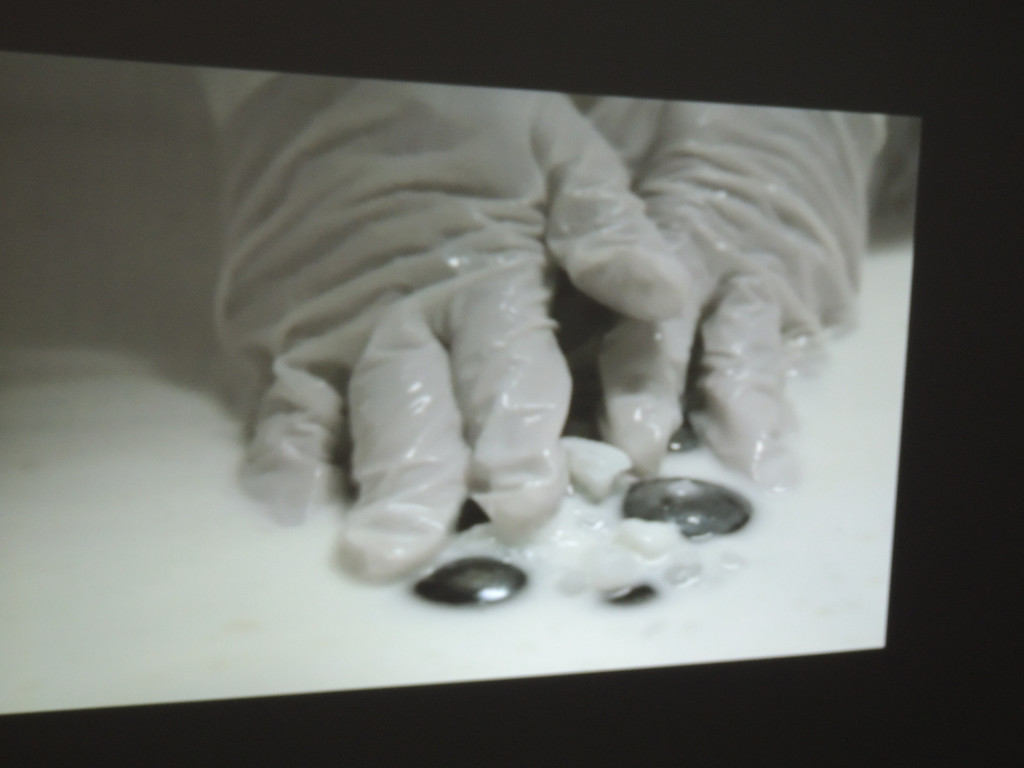 DSCN7849_JPG-1375974350