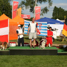 IMG_1934_JPG-1375974702