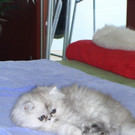 b5_001.JPG