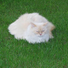 b9_001.JPG