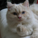 c1_001.JPG