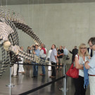 DSCN2569_JPG-1375978096