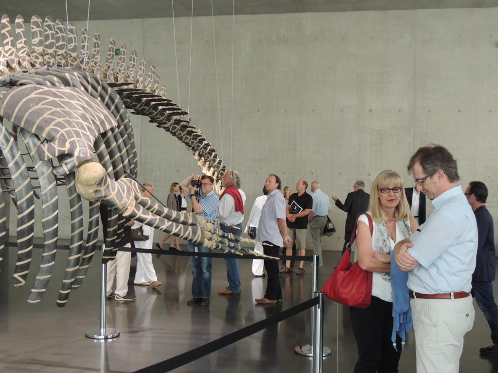 DSCN2569_JPG-1375978096