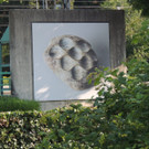 DSCN2031_JPG-1375978088