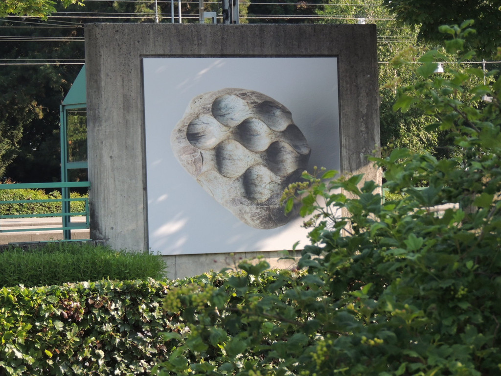 DSCN2031_JPG-1375978088