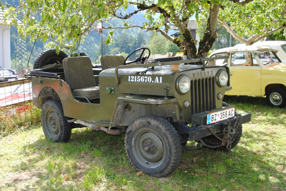 DSC_3469_JPG-1375987746