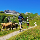 Lech_Zuers_am_Arlberg_Hoehenhalbmarathon_2012__C2_A9_Lech_Zuers_Tourismus_GmbH _1_.jpg