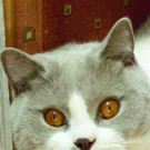 a1_002.jpg