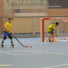   Hockeyarena 