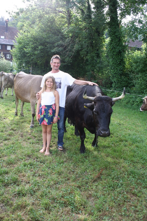 Kuh MORLE Pfanner 2013 _3__jpg-1376049693