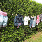 DSCN9317_JPG-1376084505