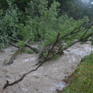 01_09082013_Unwetter Nasswald _22_.jpg