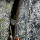 DSC04752 _Large_.JPG