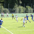 P8100053_JPG-1376245689