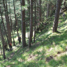 20130811_164326.jpg