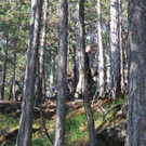 20130811_164334.jpg