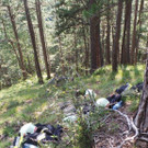 20130811_164532.jpg