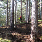 20130811_164658.jpg