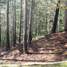 20130811_165153.jpg