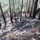 20130811_165205.jpg