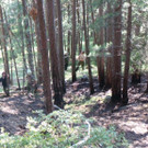 20130811_165218.jpg