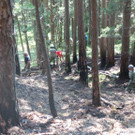 20130811_165433.jpg