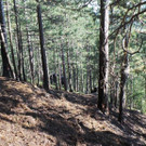 20130811_165705.jpg