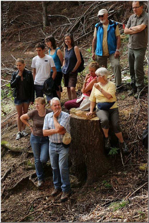 159A4976_jpg-1376295766