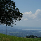 DSC05252.JPG