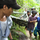 Vietnam: Vater und Sohn lebten 40 Jahre in Wald