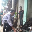 IBD0501-20130808.jpg