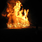 IMG_8281.JPG