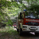 DSC_0155.jpg