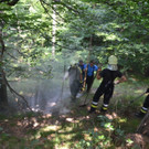 DSC_0173.jpg