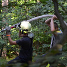 DSC_0202.jpg