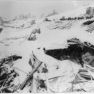 Vintage Vorarlberg: Alte Bilder aus Blons