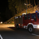 normal_13082013baumde01001aktivnews_10.JPG