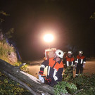 normal_13082013baumde01001aktivnews_16.JPG