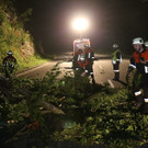 normal_13082013baumde01001aktivnews_23.JPG