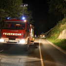 normal_13082013baumde01001aktivnews_27.JPG
