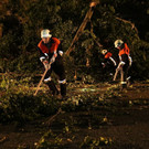normal_13082013baumde01001aktivnews_35.JPG
