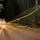 normal_13082013baumde01001aktivnews_59.JPG