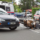 normal_13082013fmt_vu_schmiedingerstr_mw-4.jpg