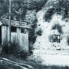 1153303.jpg