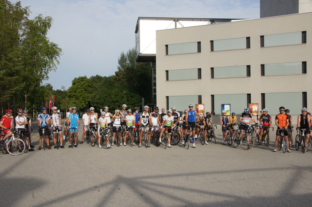 DSC08380_JPG-1376400289