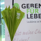 IMG_5621_jpg-1376400316